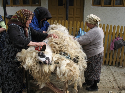 Putna, început de mai 2010.