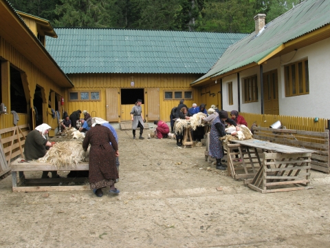 Putna, început de mai 2010.